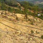 The Valley @ Bentong for Sale