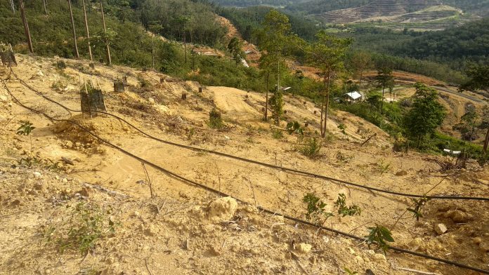 The Valley @ Bentong for Sale The Valley @ Bentong for Sale