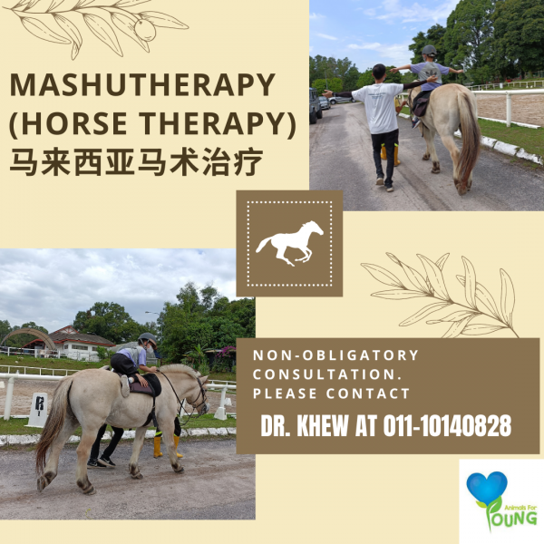 Mashutherapy (Horse therapy)- 马术治疗