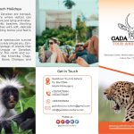 TANZANZIA SAFARIS AND TREKKING KILIMANJARO MOUNTAIN